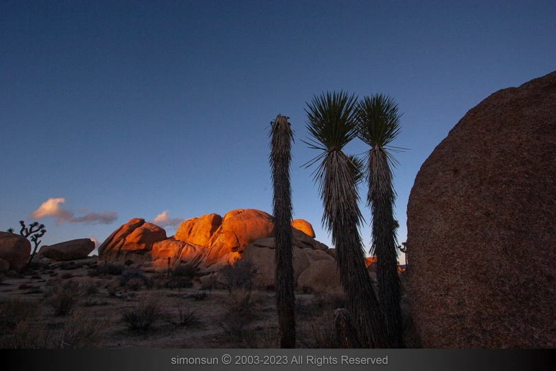 沙漠中岩石形成的日落时分 棕榈树在背景中 太阳和月亮在后面