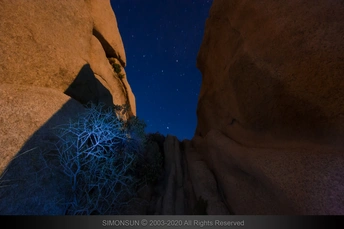 夜晚的山谷 岩石和树木被星光照亮。