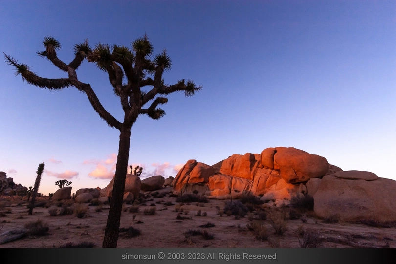 夕阳下 前景为一棵孤独的树 背景为一片岩石景观 夕阳或日出时 夕阳在背景中落下。