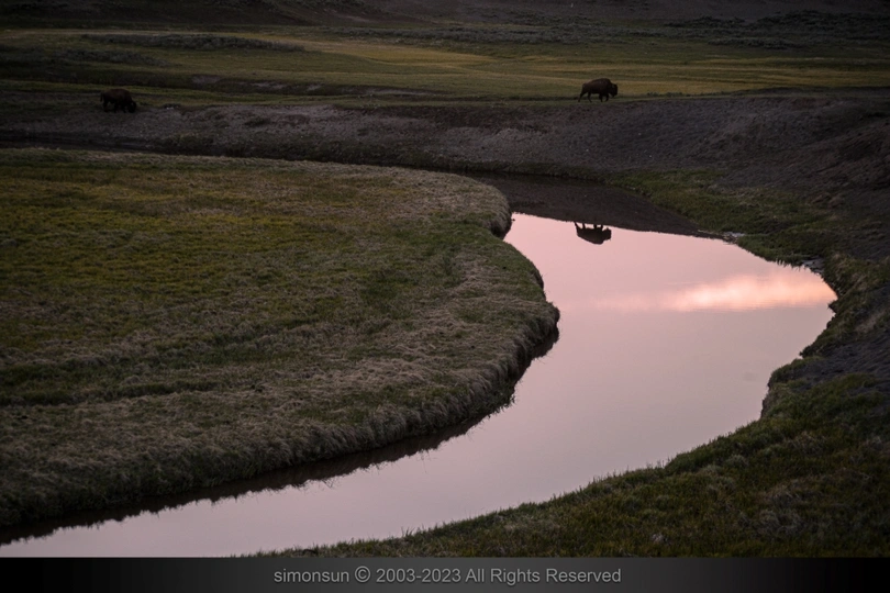 暮色中一条小溪流 天空中马和牛的倒影