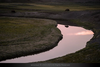 暮色中一条小溪流 天空中马和牛的倒影