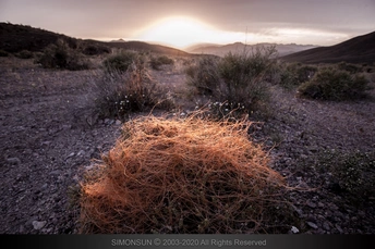 沙漠在日落时日落 