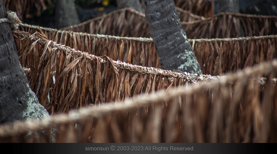 一个用棕榈树屋顶编织的篮子