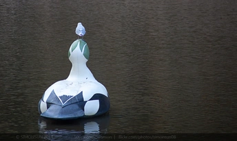 一只白色鸭子坐在水面上 一只鸟站在它上面。
