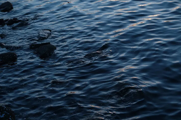 水