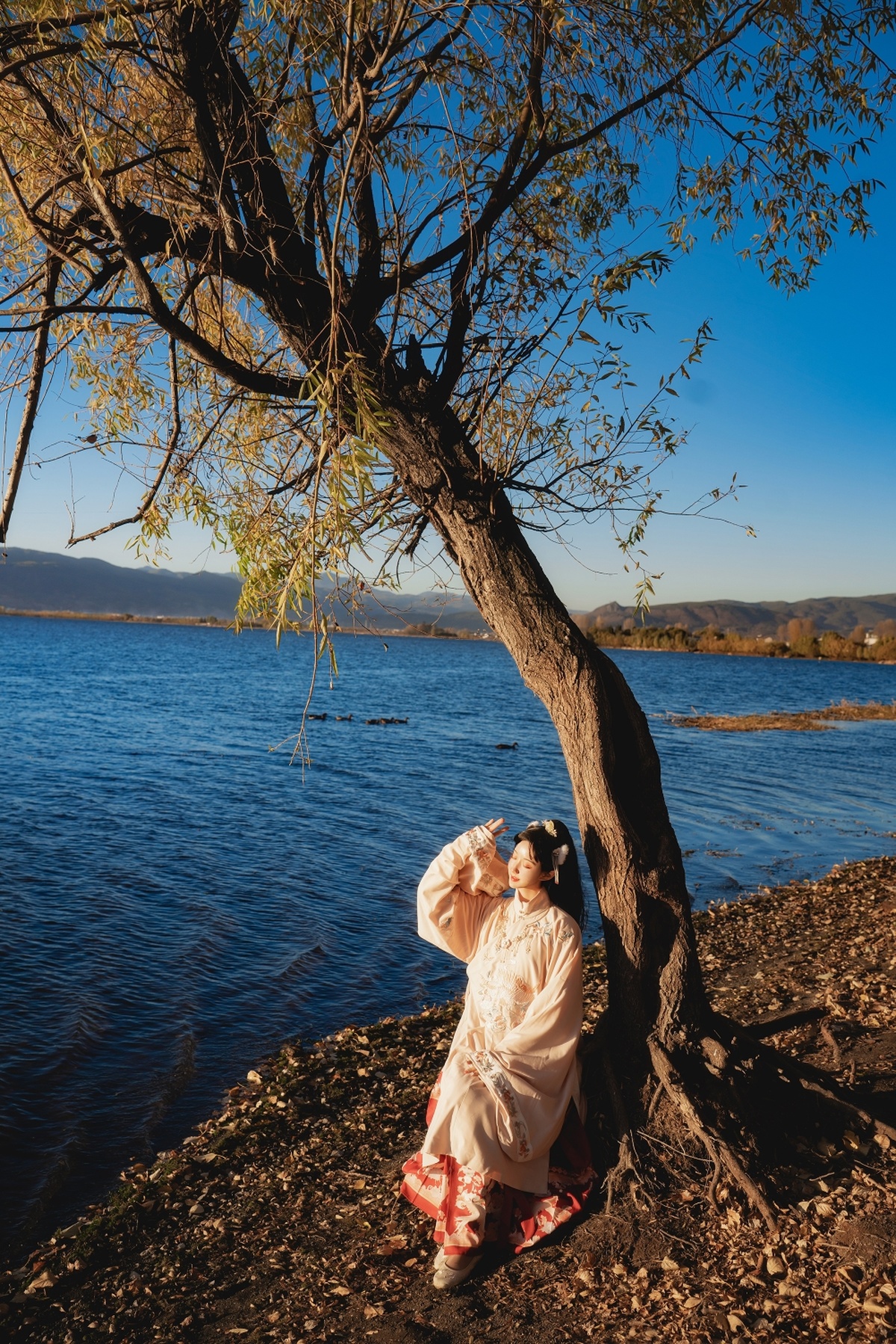 一位女孩穿着裙子坐在湖或河的岸边 树下 水边