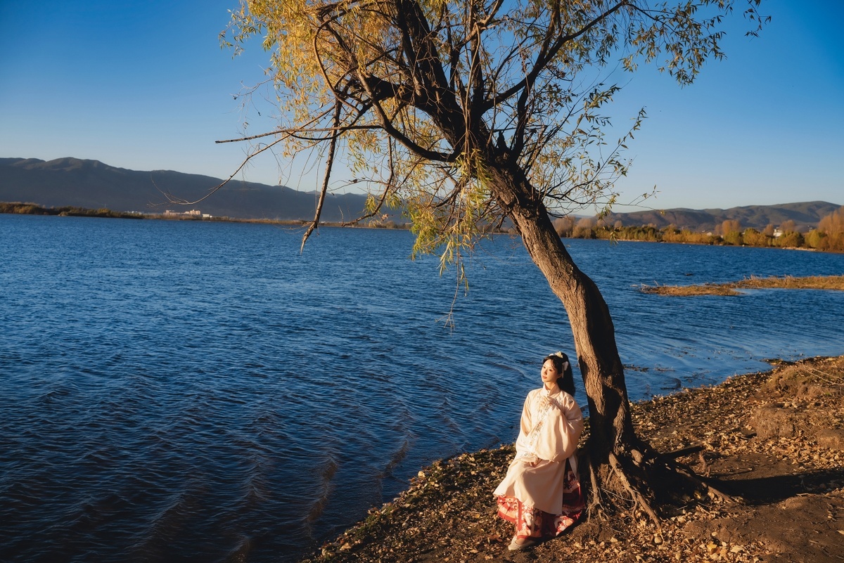 一位穿着连衣裙的女人坐在湖边 湖岸是太浩湖的岸边 一棵树倾斜着靠在湖岸上。