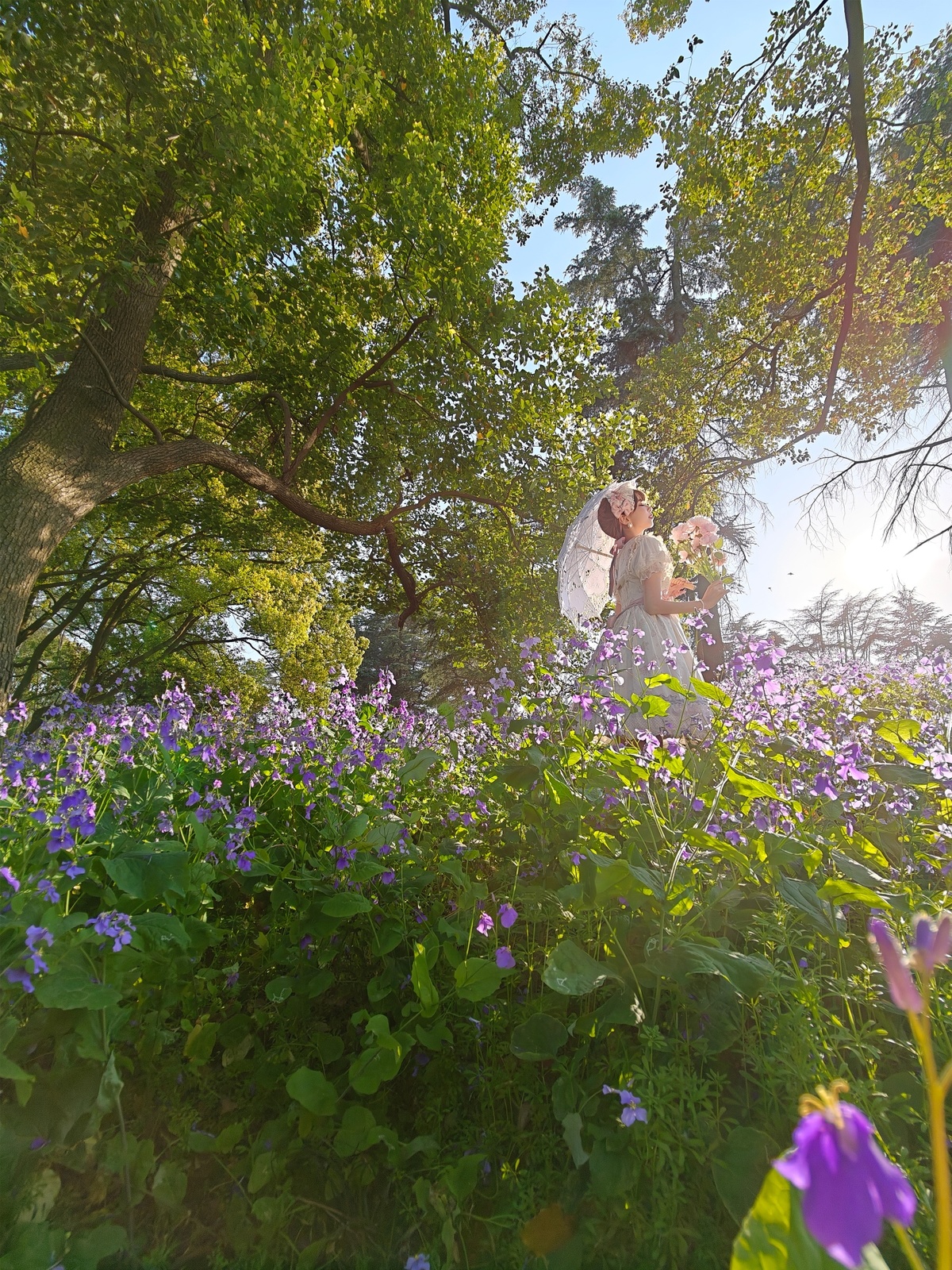 新人在紫花丛生的森林中 阳光透过树木洒落