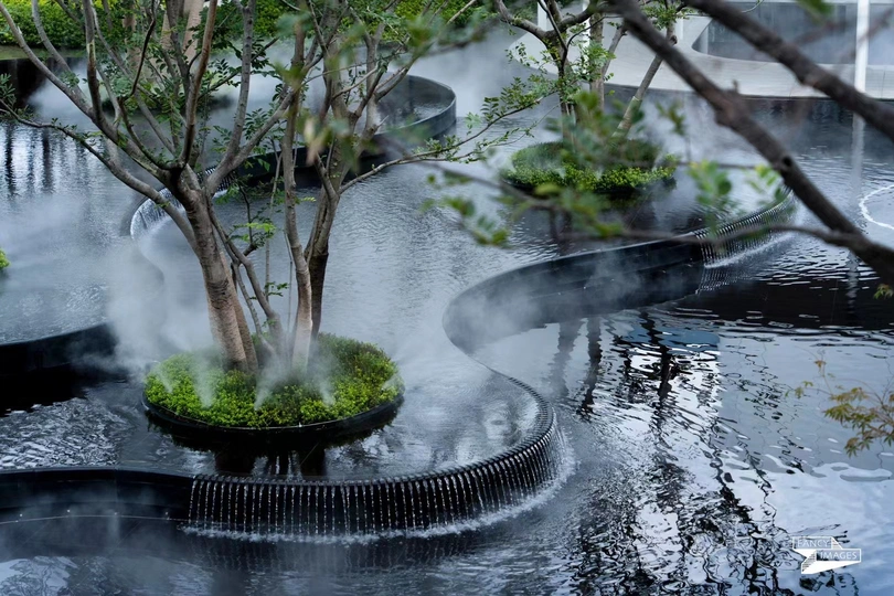 一个有植物和水的喷泉