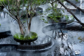 一个有植物和水的喷泉