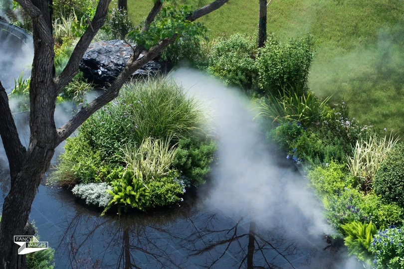 一个带小池塘和树木的花园