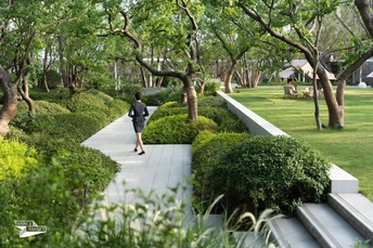 一个人在公园的小径上走 小径上有长凳、树木和步行道。