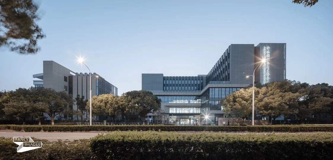 城市中的一座带树的前现代建筑