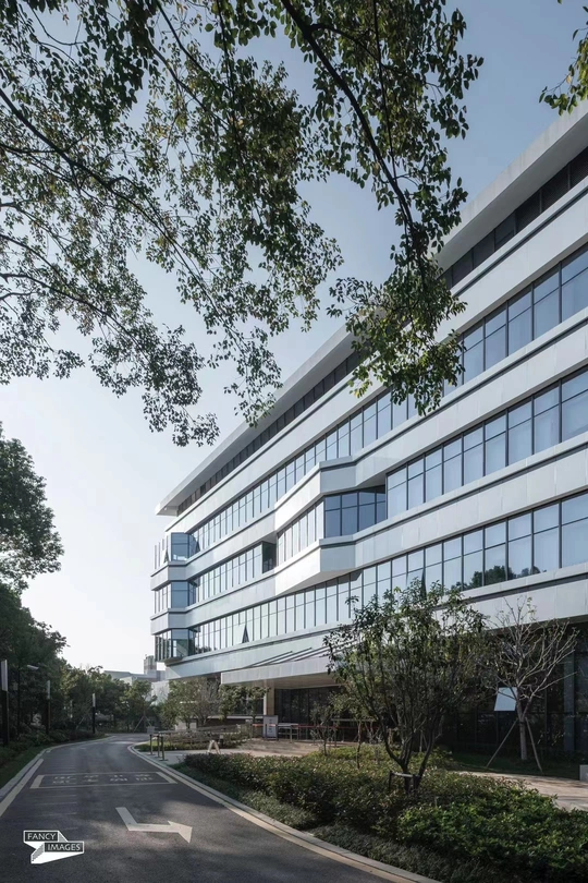 从街道上看到的办公楼