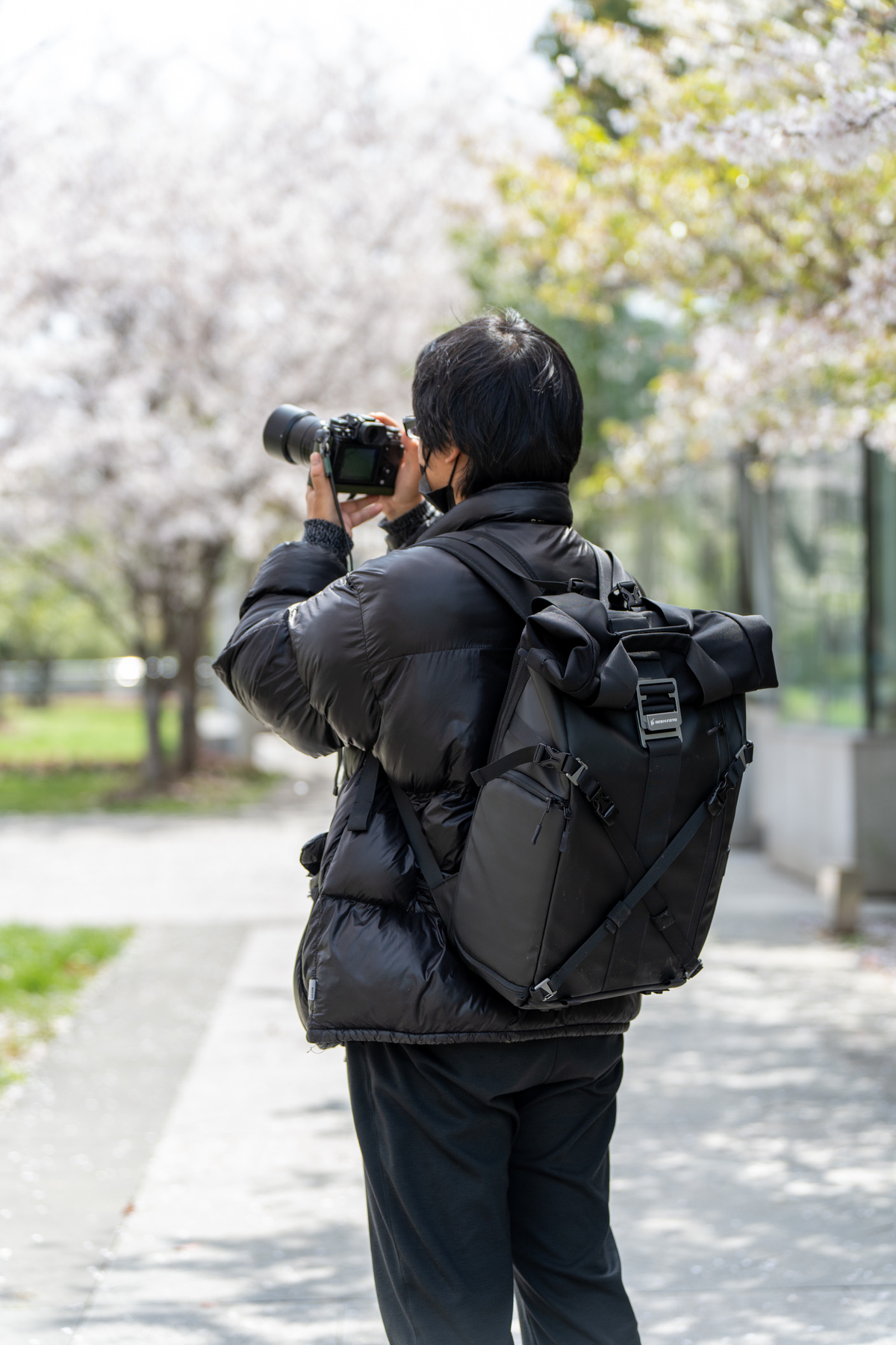 一个背着背包和相机的人正在给一棵树拍照