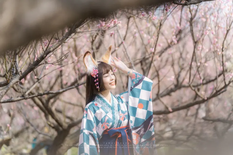 一位身着和服的年轻女子站在一朵盛开的树下