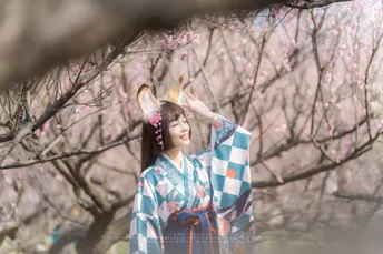 一位身着和服的年轻女子站在一朵盛开的树下