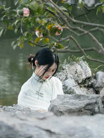 一个穿着白色的年轻女孩坐在池塘边一块岩石上 旁边有一棵小树。