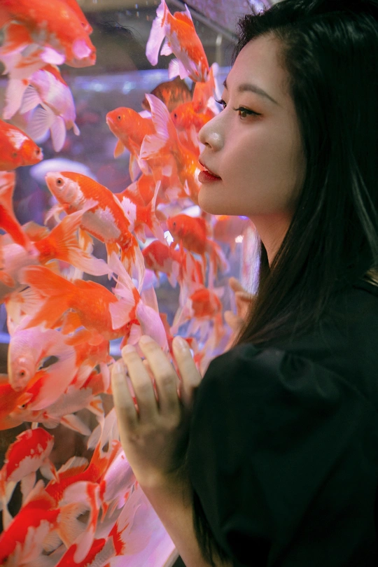 一张年轻女子在鱼缸前看金鱼的图片