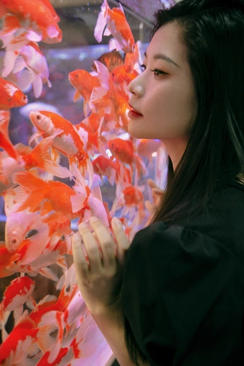一张年轻女子在鱼缸前看金鱼的图片