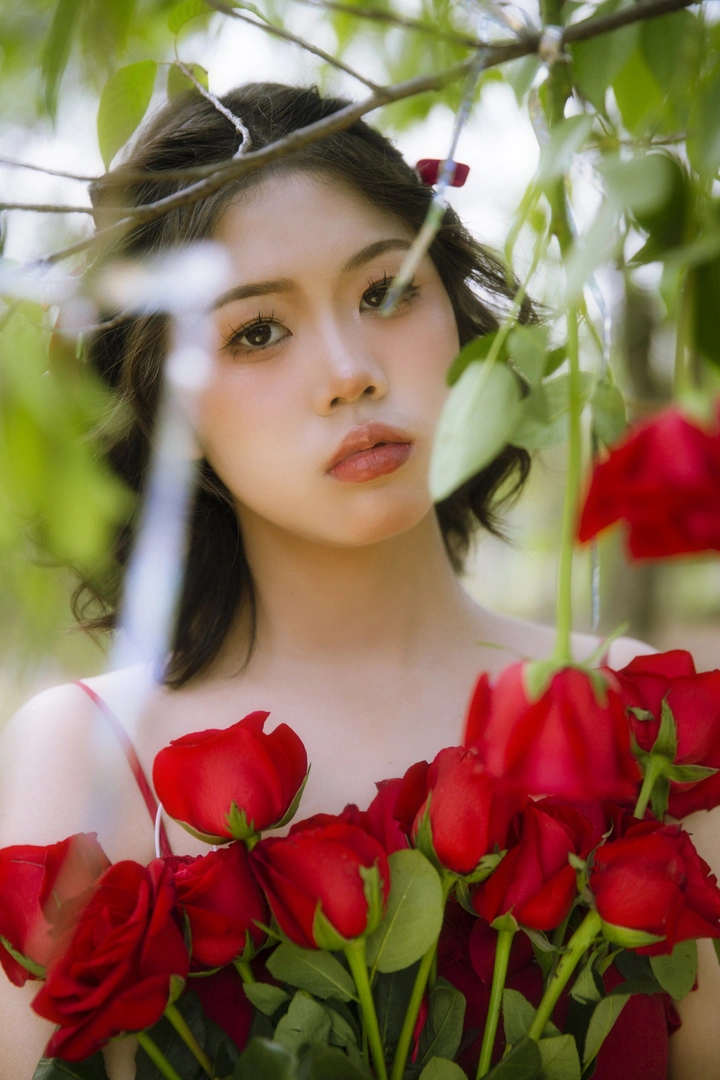玫瑰