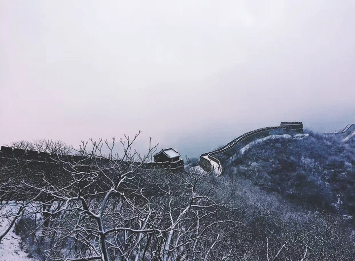 雪中巨龙