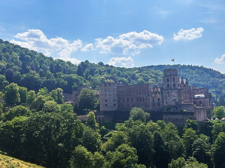 山顶的一座大型城堡周围环绕着绿树。