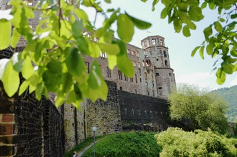 一个有河流、树木、城堡和人们在长凳上的一座城市