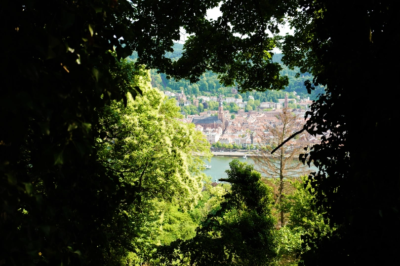 一条河流 一座城市 一个湖泊和树木 从山坡上的森林小径看去