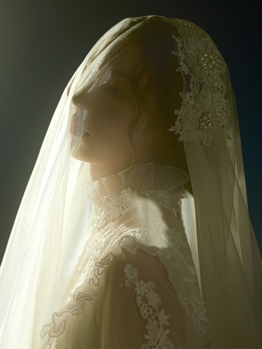 一位穿着白色婚纱和头纱的女士