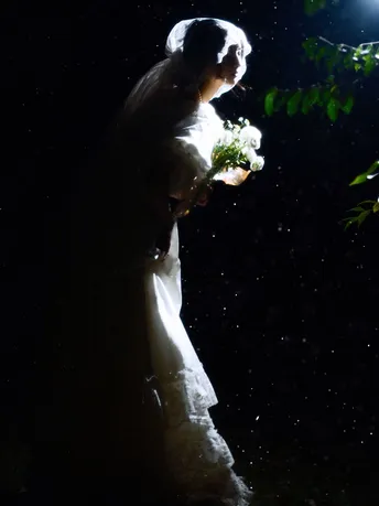 新人在夜晚树下的灯光下 在雨中亲吻