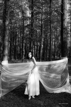 一张黑白照片 一位身着白色长袍和面纱的女子在树林中。