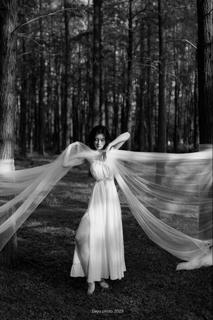 一张黑白照片 一位穿着白色长裙和长头纱的女士在树林中。