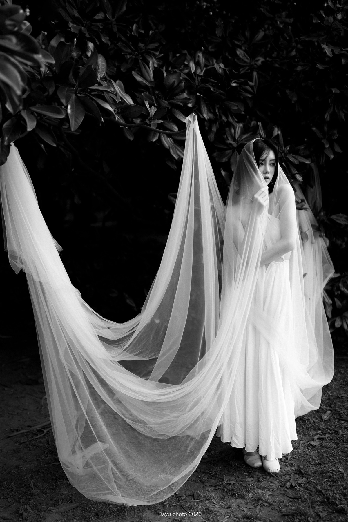 一张黑白照片 新娘身着白色婚纱和面纱