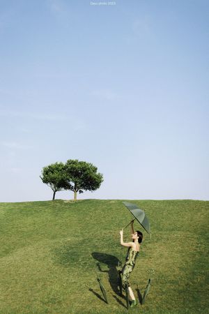 一位女士在草地上拿着一把雨伞 旁边有一棵树在山丘上。
