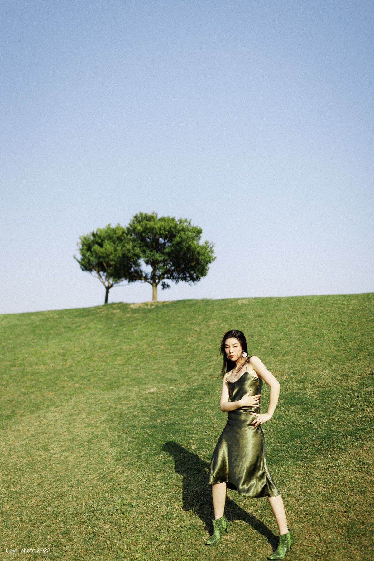 一位穿着绿色连衣裙的女士站在一个草地上 背景中有一棵树。