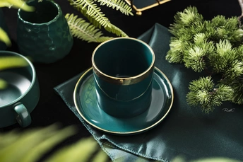 一张带有黑色桌布的桌子 上面放着一盆绿色植物 还有一个带有绿色杯子和托盘的黑色盘子。