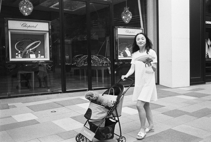 遛狗的女人