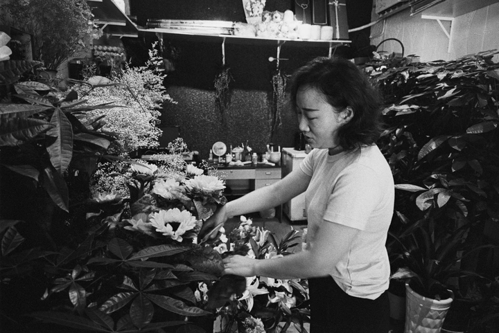 花房主人