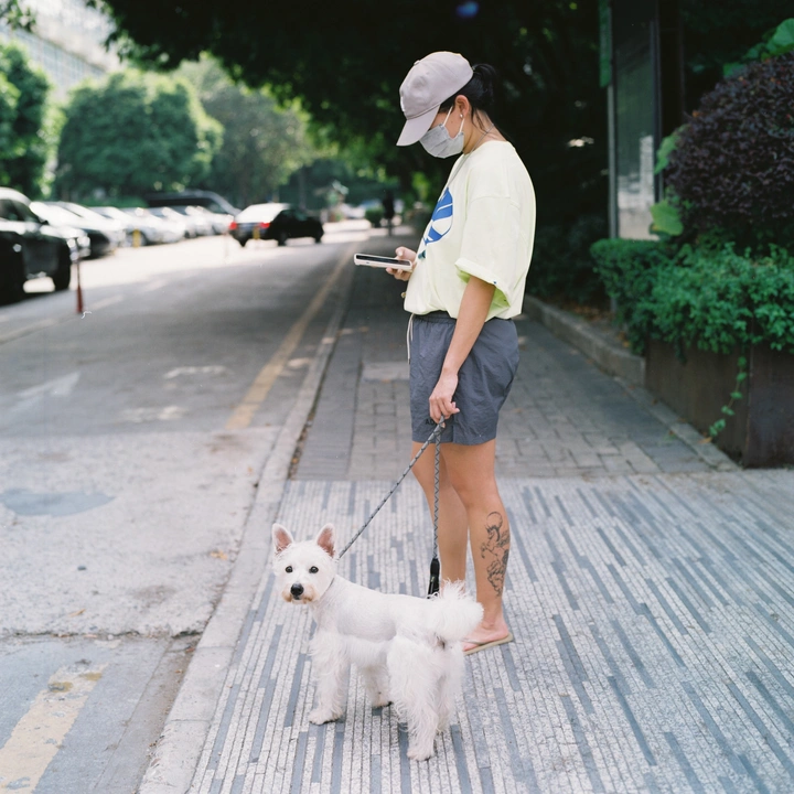 两只狗子