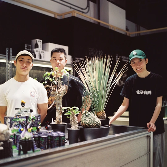 一些年轻男子站在柜台后面 有植物。