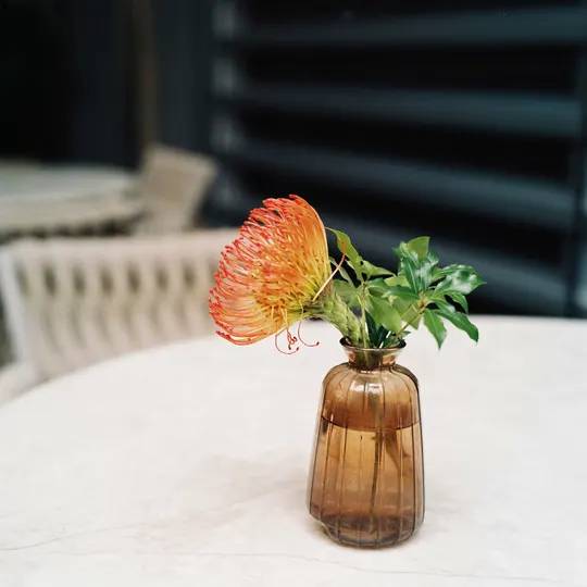 一只小花瓶里插着花 放在桌子上