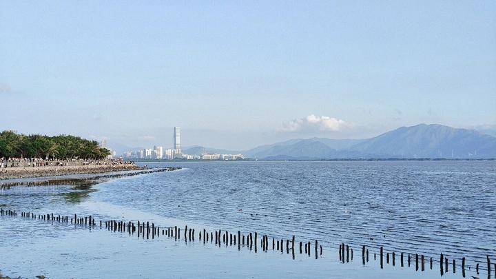 深圳湾