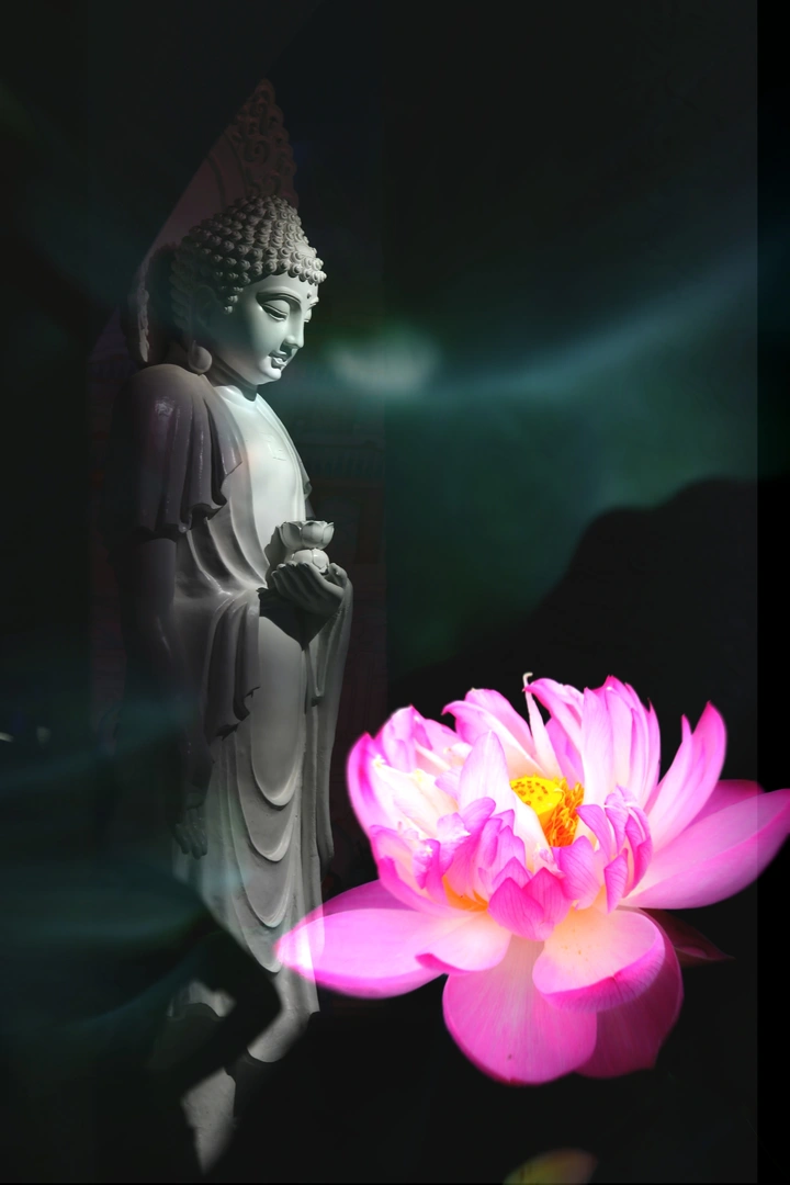一念心清静，莲花处处开。