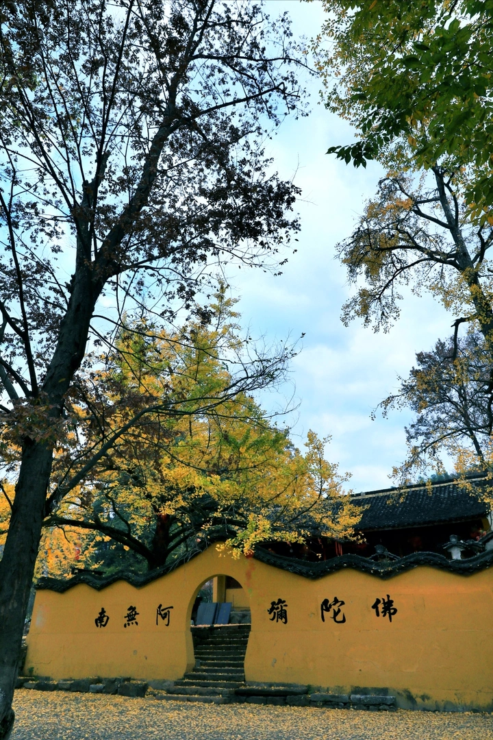 秋落满地
