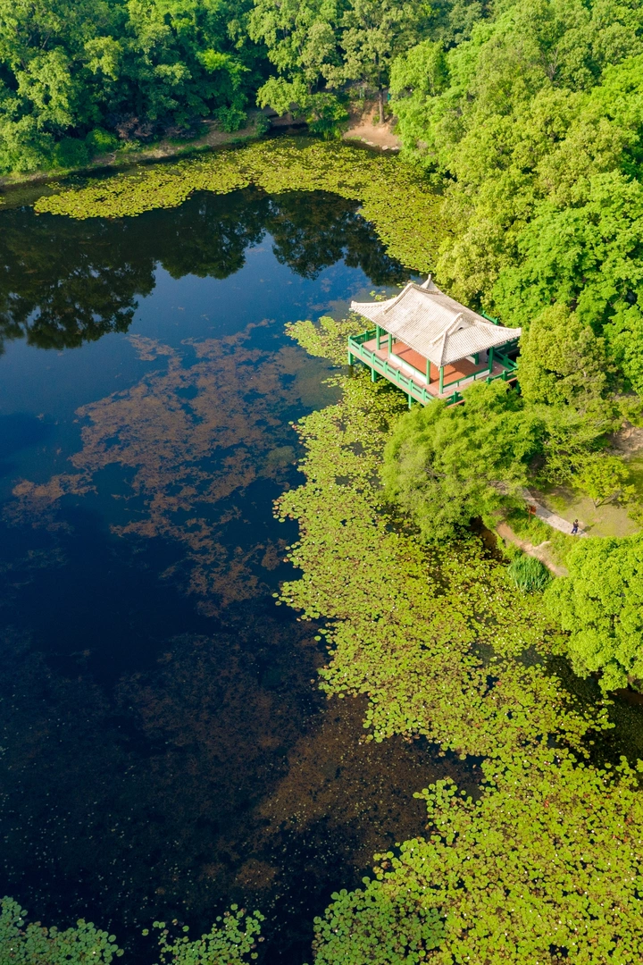 钟山水榭最清幽