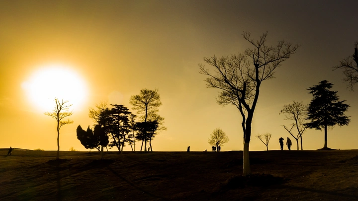 暖暖的夕阳