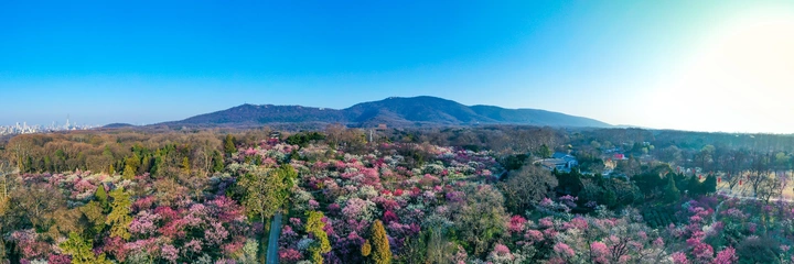 春暖花开