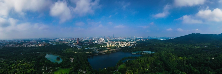 金陵东郭沐晨光