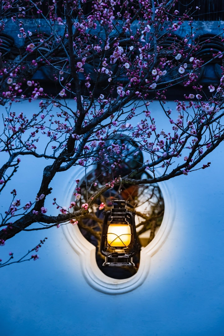 梅花醉